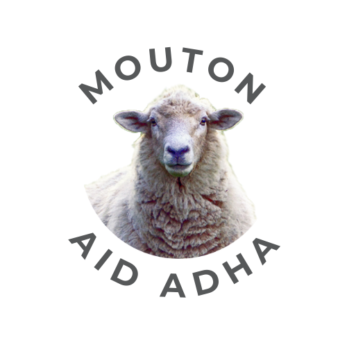 Mouton Aid Al-Adha